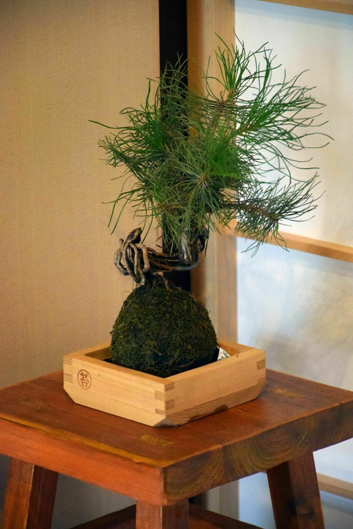 Guesthouse Hanamiya เกียวโต ภายนอก รูปภาพ
